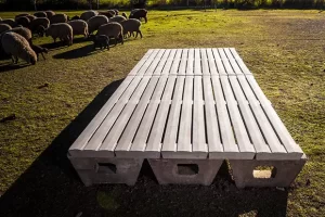 Corrales y Parideras de Cerdos <span>Slats Piso Corrales y  Comederos</span>